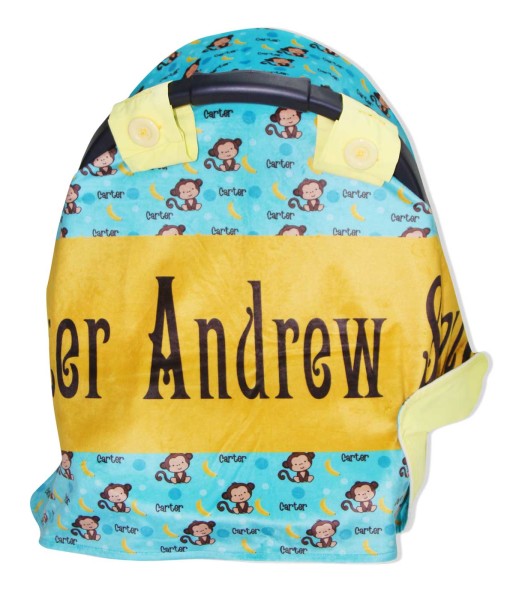 car seat 12 (2)